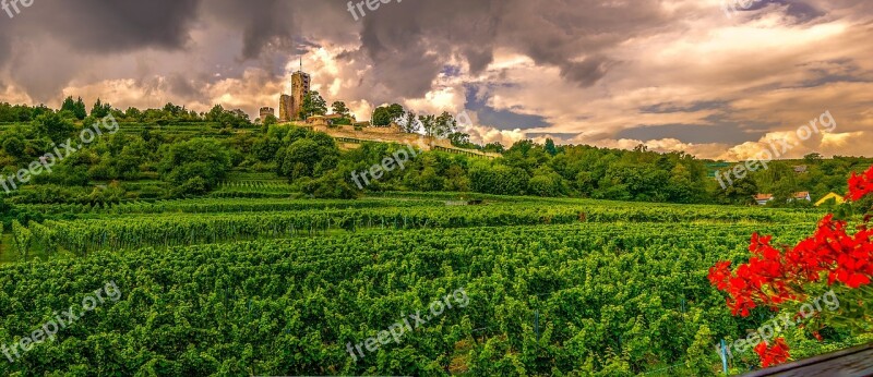 Home Guard Squall Line Castle Vineyard Nature