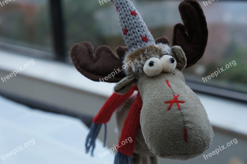 Plush Reindeer Funny Free Photos