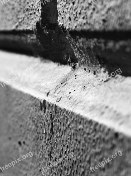 Wall Black And White Macro B W Photography White