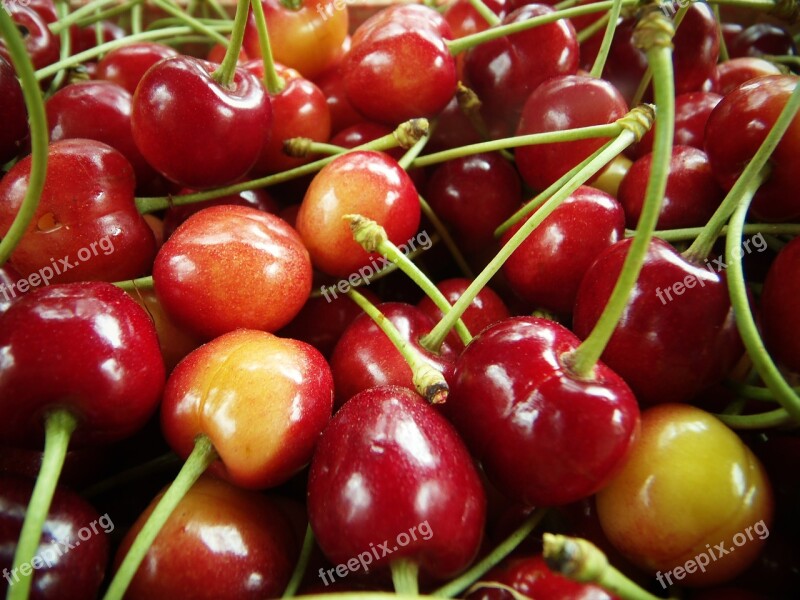 Cherries Red Macro Fruit Sweet