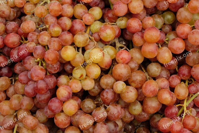 Grapes Food Fruit Free Photos