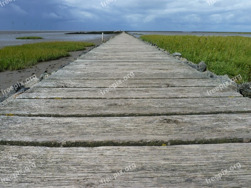 North Sea Web Wadden Sea Ebb Boards