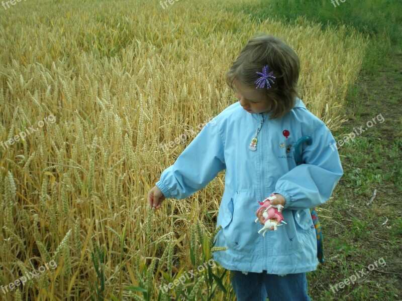 Child Field Cereals Away Wheat