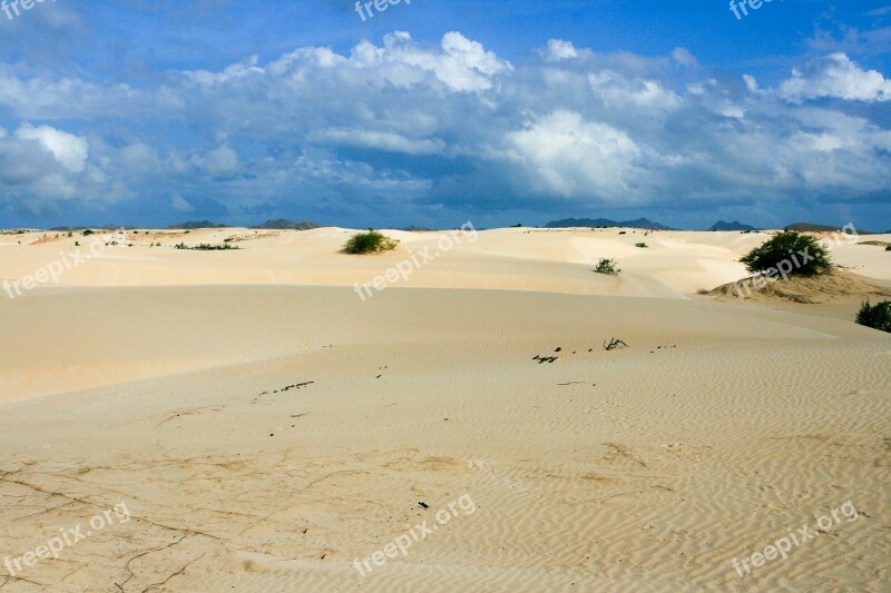 Desert Sand Boa Vista Cape Verde Cape Verde Island