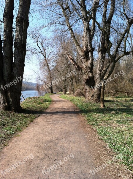 Trail Spring Trees Bare Nature