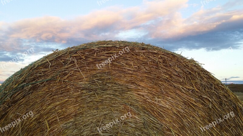 Hay Bale Rural Country Field Farm