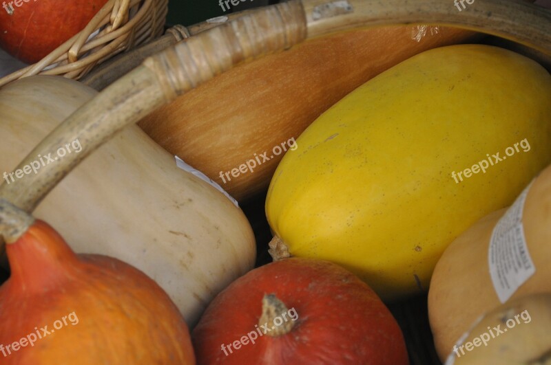 Pumpkin Fruit Vegetables Basket Free Photos