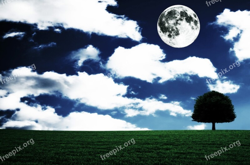 Full Moon Landscape Fantasia Tree Free Photos