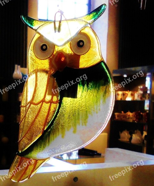 Glass Windowing Eagle Owl Hand Labor Art