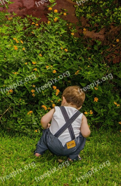 Child Boy Observation Free Photos