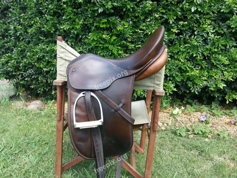 Horse Saddle Riding Equine Equestrian