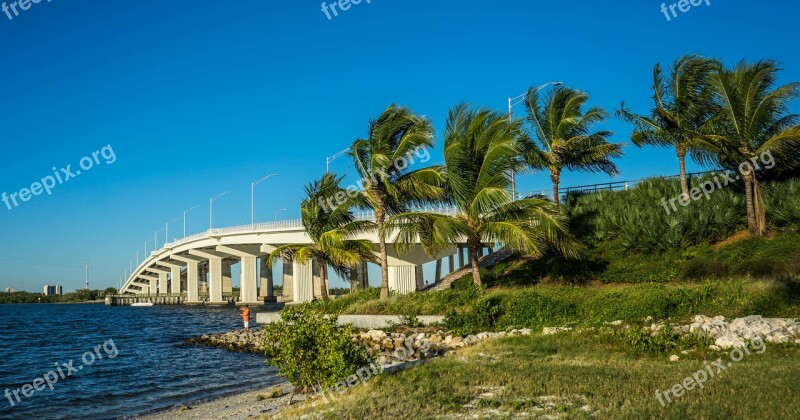 Marco Island Florida Bridge Palm Trees Gulf