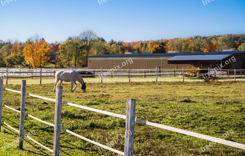 Foliage Vermont Fence Barn Horse