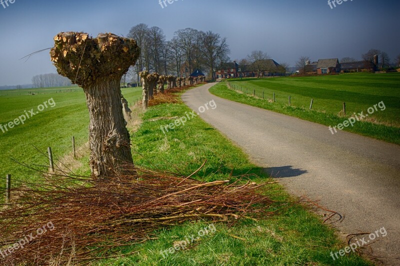 Willows Polder Road Free Photos