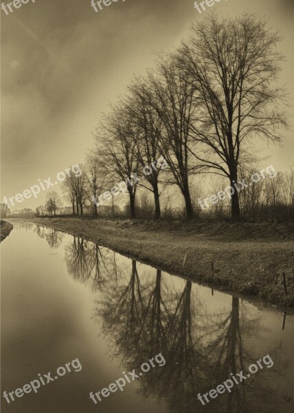 Channel Sepia Plantains River Flow