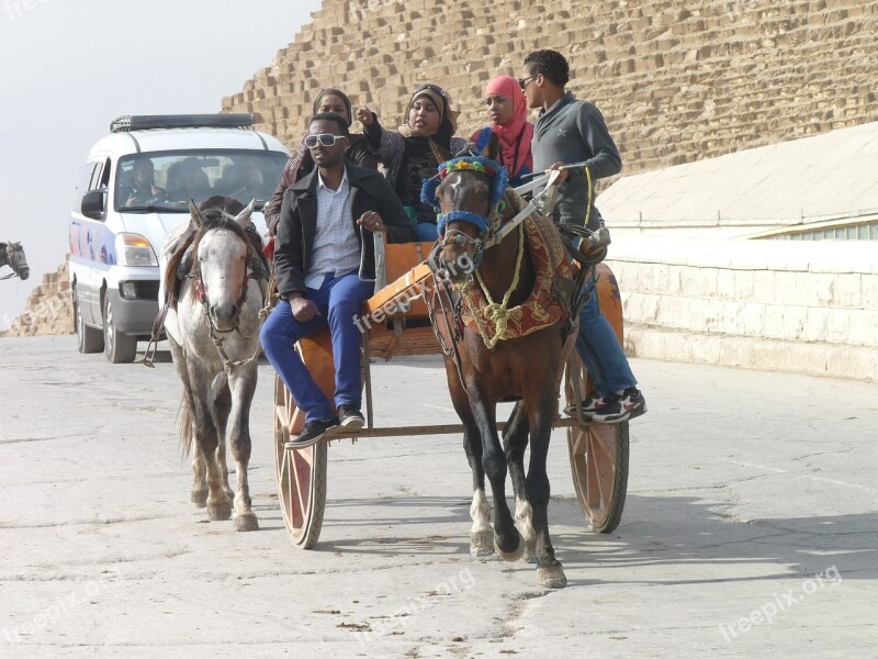 Horse Cart Egypt Tourism Free Photos