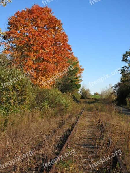 Railroad Track Train Abandoned Rail