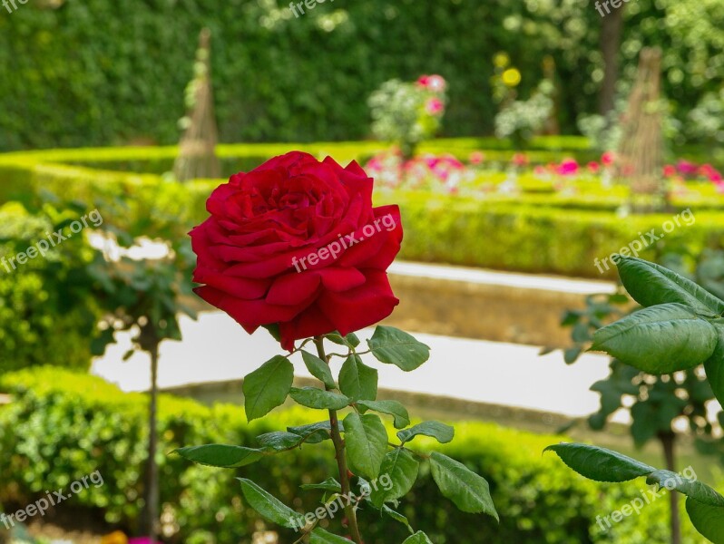 Pink Garden Of Alhambra Grenade Free Photos