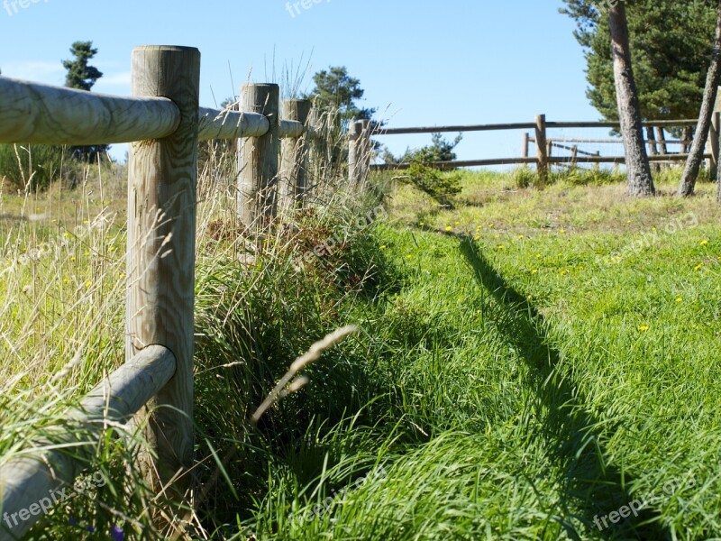 Wooden Fence Grass Field Spring Rural