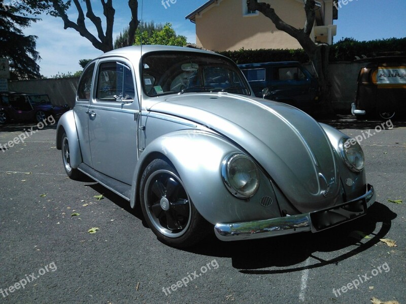 Volkswagen Ladybug Porsche Automobile Auto