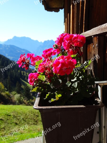 Geranium Mountain Hut Mountain World Foresight Mountain View