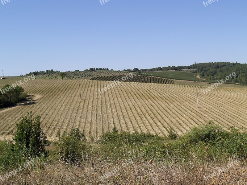 Tuscany Landscape Italy Free Photos