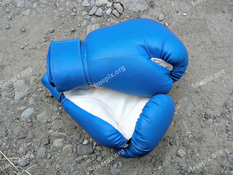 Boxing Sports Gloves Strong Free Photos