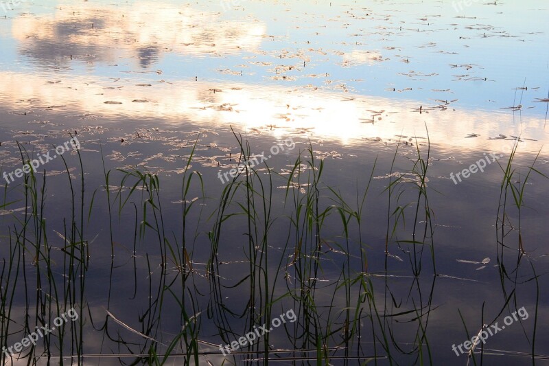 Lake Water Calm The Mosquito Finnish