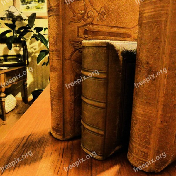 Spine Books Antiquariat Old Old Book