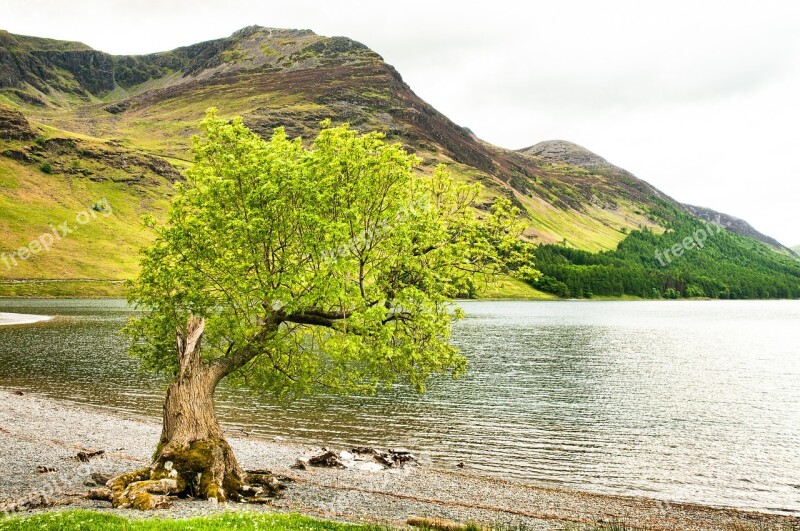 Lake District Cumbria Lake Mountain Shoreline