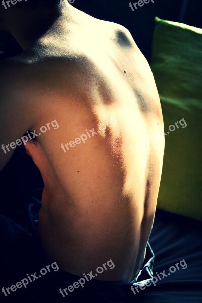 Back Body Man Free Photos