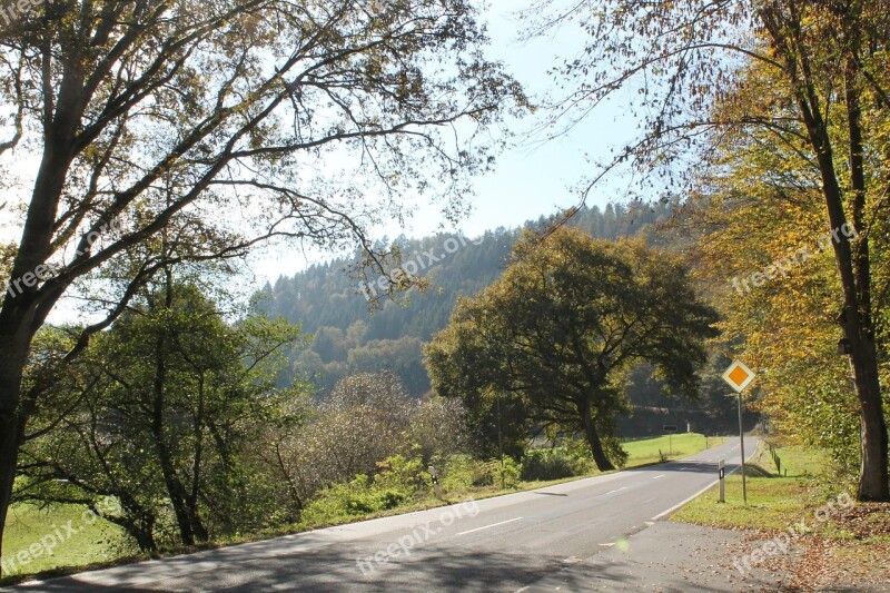 Autumn Road Trees Avenue Driving A Car