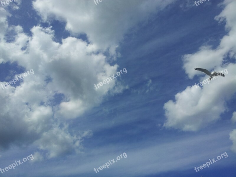 Himmel Cloud Bird Sky Free Photos