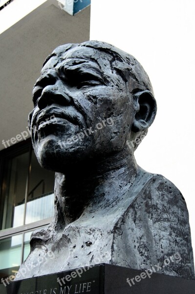 Nelson Mandela Statue London Monument Revolutionary