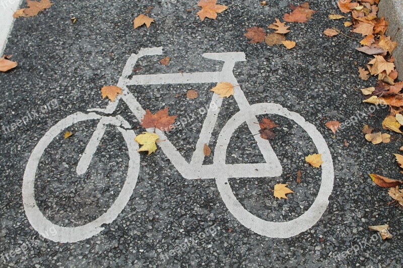 Bicycle Path Bike Autumn Cycle Path Cyclists