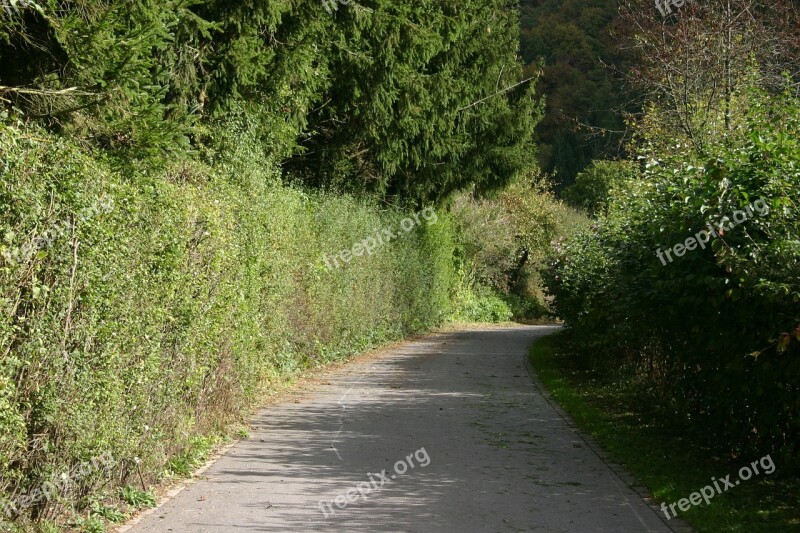 Country Road Road Walkway Hiking Luxembourg