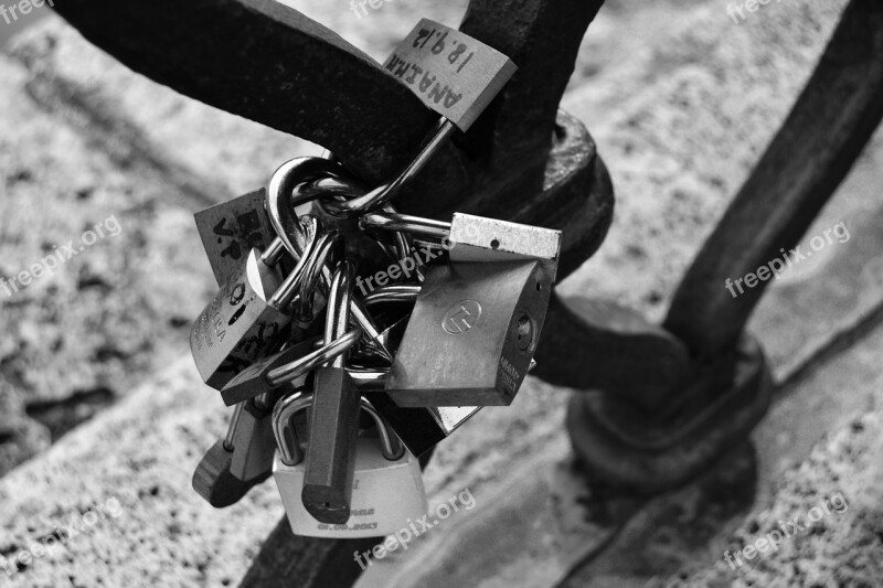 Locks Love Railing Free Photos