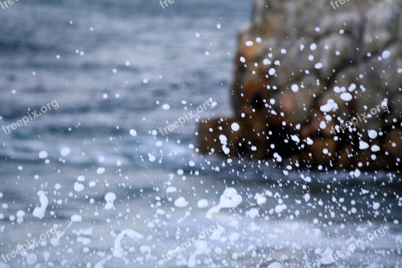 Surf Ocean Coast Water Wave