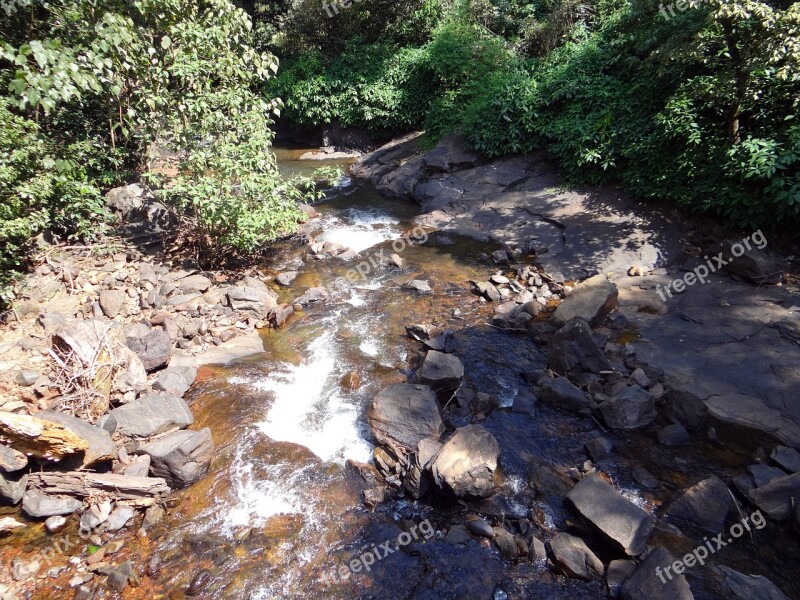 Brook Mountain Stream Spring Water Mountain