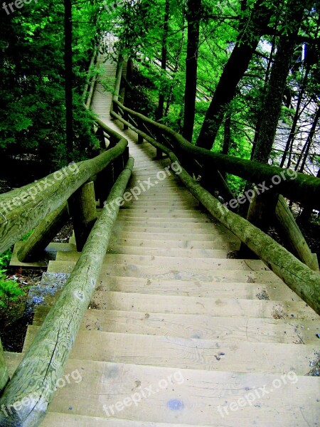 Ladder Truro Canada Nova Scotia Park