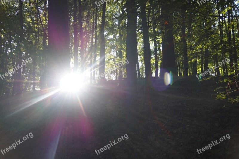 Sun Sunbeam Aperture Stain Rays Nature