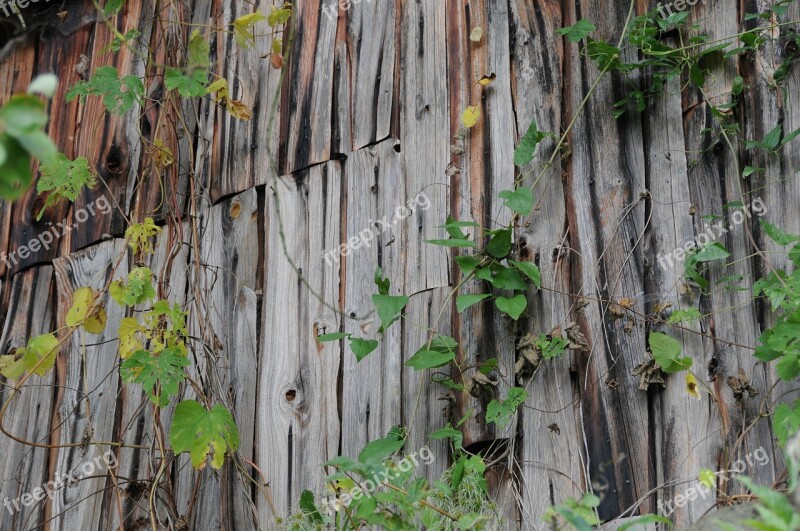 Boards Hut Wood Old Barn