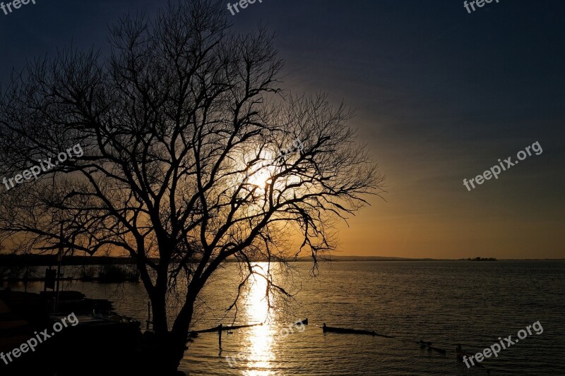 Trees Landscape Nature Steinhuder Sea Lake