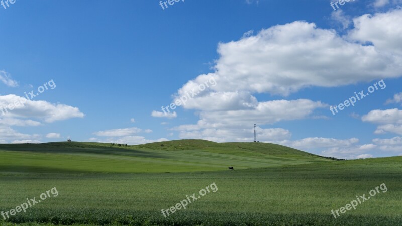 Prairie Blue Sky White Cloud Grassland Inner Mongolia