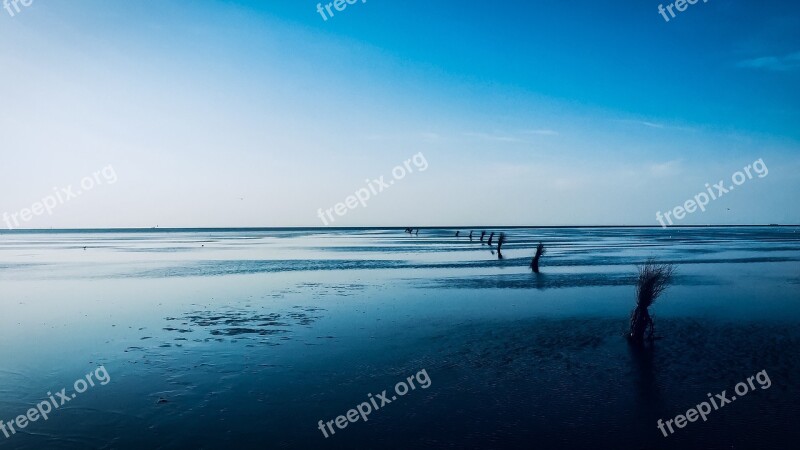 Nature Landscape Watts Wide Horizon