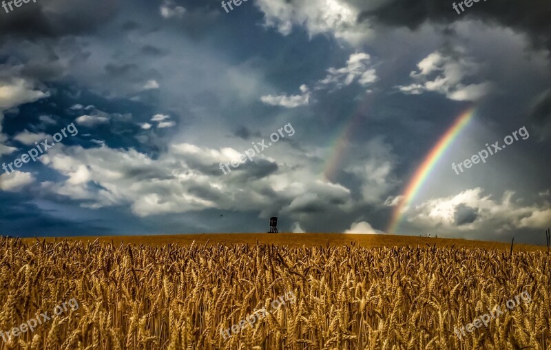 Nature Landscape Rainbow Cornfield Cereals