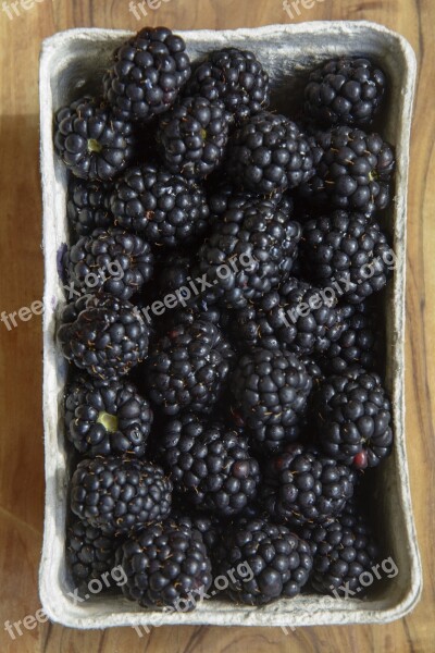 Blackberry Berry Fruit Berries Blackberry Shell