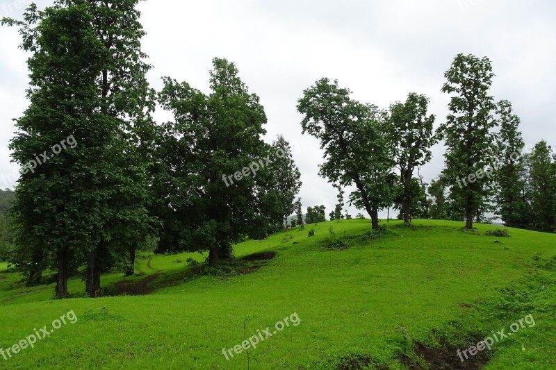 Landscape Nature Green Forest Hills