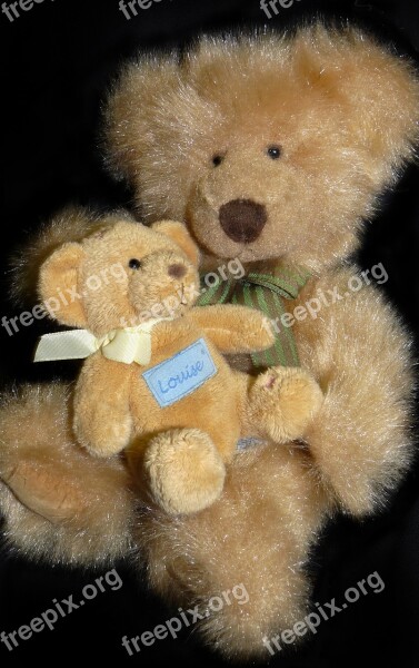 Bears Teddies Cute Toys Childhood