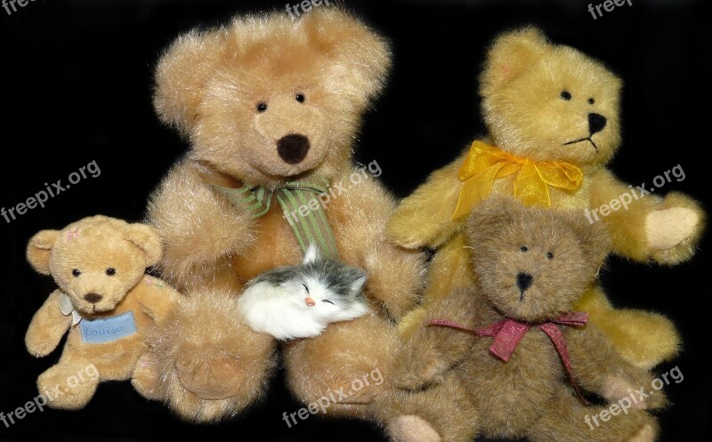 Bears Teddies Toys Cute Play